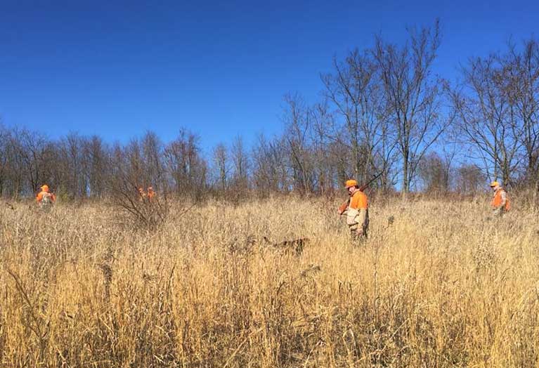 Paul Seufert Pheasant Hunt